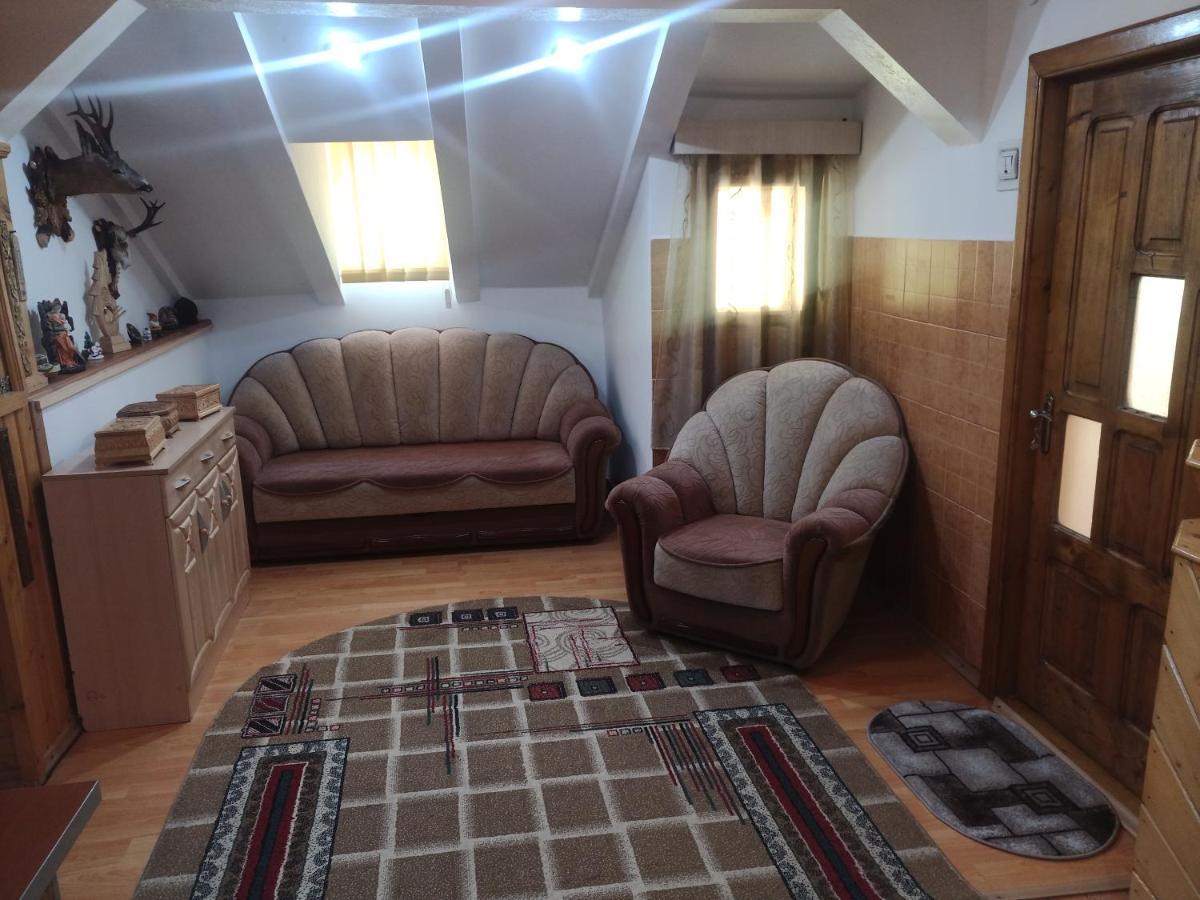 Casa Cristian Villa Câmpulung Moldovenesc Екстериор снимка