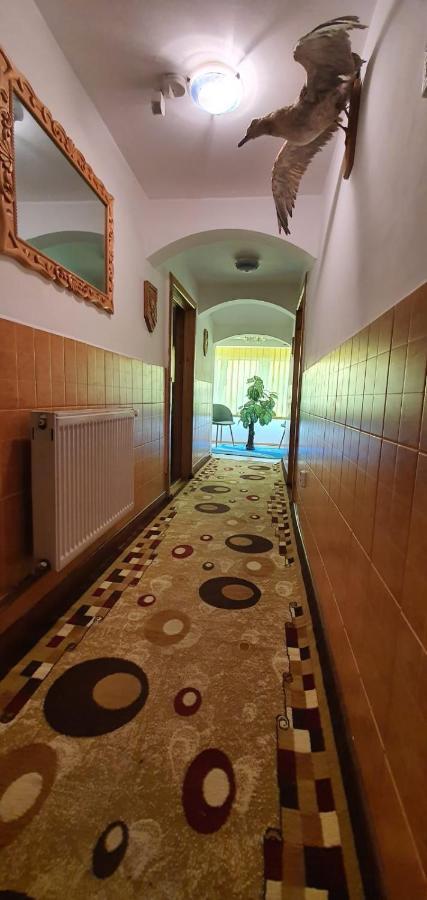 Casa Cristian Villa Câmpulung Moldovenesc Екстериор снимка